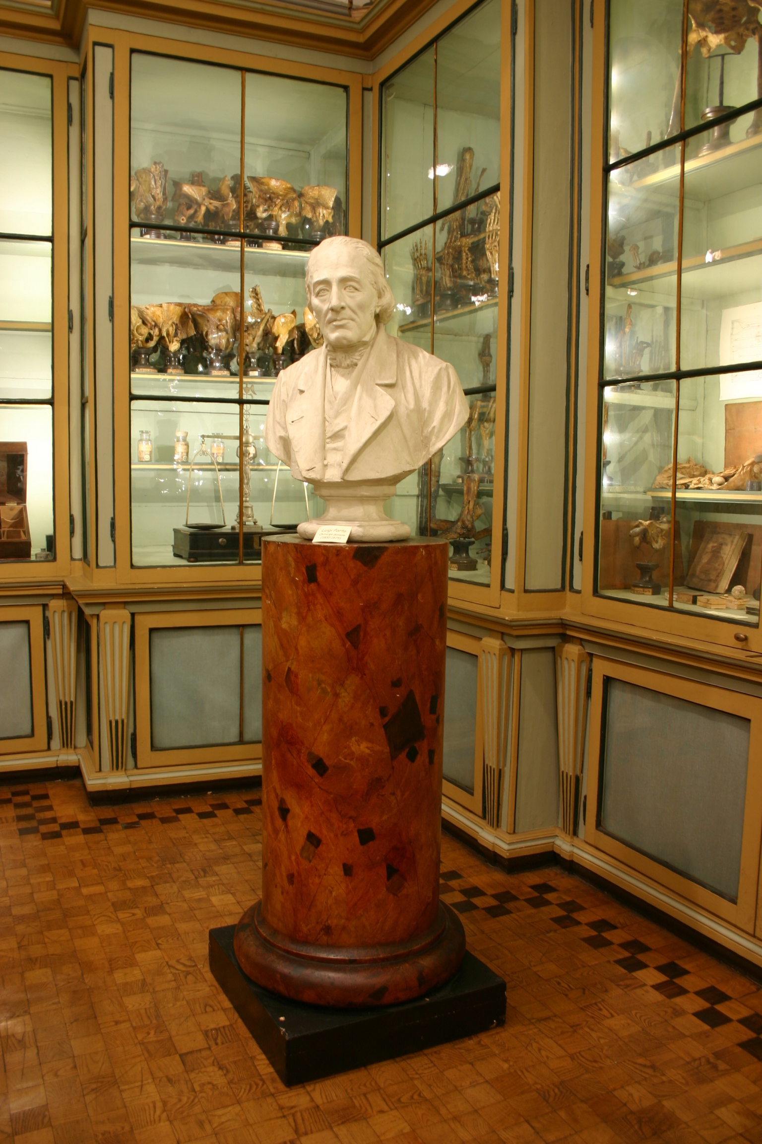 Luigi Porta's bust, Museo per la Storia dell'Università, Pavia.JPG
